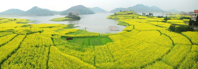 1547426651156809.jpg 1.jpg