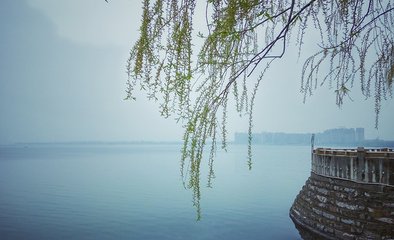 1547430413195398.jpg 1.jpg