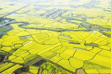 1547430763832412.jpg 1.jpg